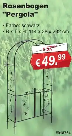 Stabilo Fachmarkt Rosenbogen "Pergola" Angebot