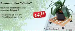 Stabilo Fachmarkt Blumenroller "Kiefer" Angebot