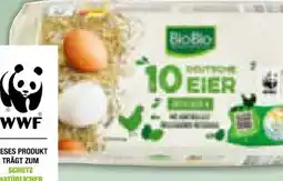 Netto Marken-Discount BioBio Bio-Eier Angebot