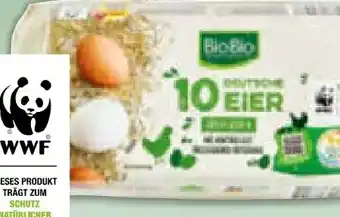 Netto Marken-Discount BioBio Bio-Eier Angebot