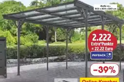 Netto Marken-Discount Juskys Carports Angebot