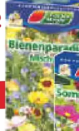 Netto Marken-Discount Garten Magie Bienenparadies Angebot