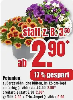 B1 Discount Baumarkt Petunien Angebot