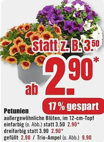 B1 Discount Baumarkt Petunien Angebot