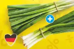 Netto Marken-Discount Heimat Lauchzwiebeln Angebot