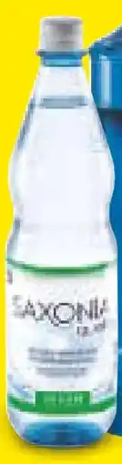 Netto Marken-Discount Saxonia Quelle Mineralwasser Angebot