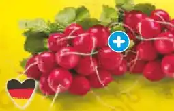 Netto Marken-Discount Heimat Radieschen Angebot