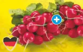Netto Marken-Discount Heimat Radieschen Angebot