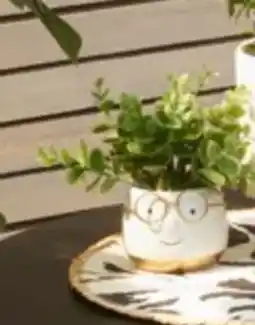 TEDi Deko-Kunstblumen Angebot