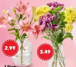Kaufland Lilienstrauß Angebot