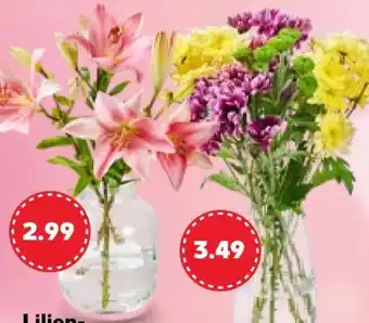Kaufland Lilienstrauß Angebot
