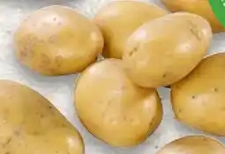 Kaufland Speisekartoffeln Angebot