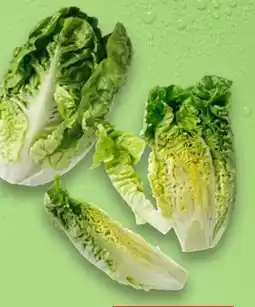Kaufland Mini-Romanasalat Angebot