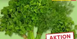 Kaufland XXL Kräuter Angebot