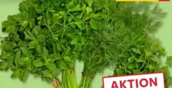 Kaufland XXL Kräuter Angebot