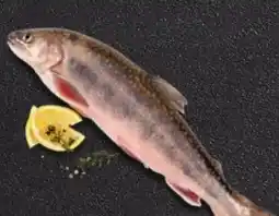 Kaufland Saiblingsfilet Angebot