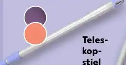 Kaufland Paul Koch Teleskopstiel Angebot