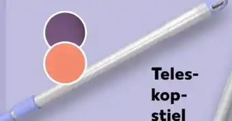 Kaufland Paul Koch Teleskopstiel Angebot