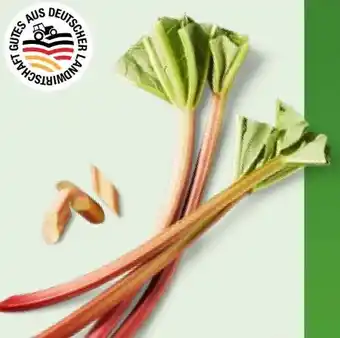 Kaufland Rhabarber Angebot