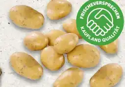 Kaufland Speisekartoffeln Angebot