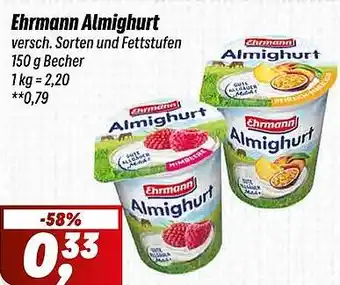 Simmel Ehrmann Almighurt Angebot