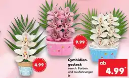 Kaufland Cymbidien-gesteck Angebot