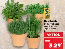 Kaufland Ggn certified farming ital. kräuter in terrakotta Angebot