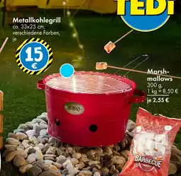 TEDi Metallkohlegrill oder marshmallows Angebot