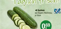 V Markt Gurken Angebot