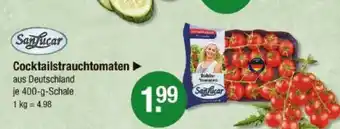 V Markt Sanlucar cocktailstrauchtomaten Angebot