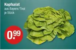 V Markt Kopfsalat Angebot