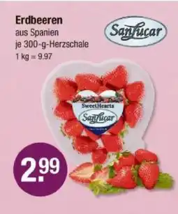 V Markt Sanlucar erdbeeren Angebot