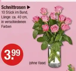 V Markt Schnittrosen Angebot