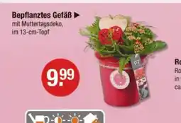 V Markt Bepflanztes gefäß Angebot