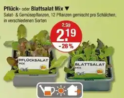V Markt Pflück- oder blattsalat mix Angebot