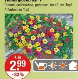 V Markt Zauberglöckchen zauberglöckchen Angebot