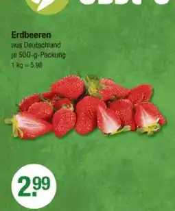 V Markt Erdbeeren Angebot