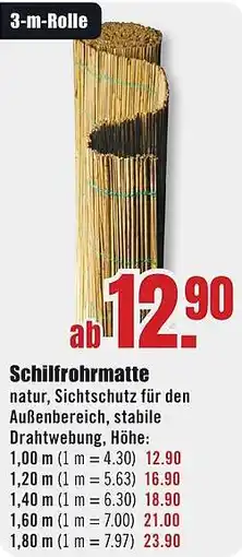 B1 Discount Baumarkt Schilfrohrmatte Angebot