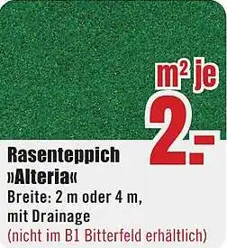 B1 Discount Baumarkt Rasenteppich Alteria Angebot