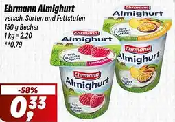 Simmel Ehrmann Almighurt Angebot