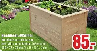 B1 Discount Baumarkt Hochbeet Marina Angebot