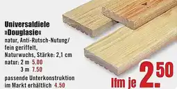 B1 Discount Baumarkt Universaldiele Douglasie Angebot