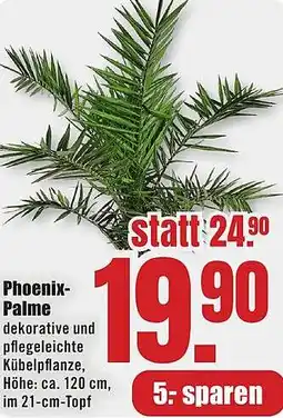 B1 Discount Baumarkt Phoenix Palme Angebot