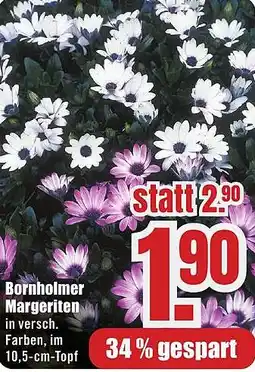 B1 Discount Baumarkt Bornholmer Margeriten Angebot