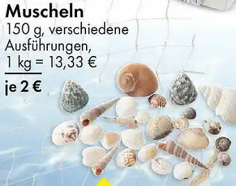 TEDi Muscheln Angebot