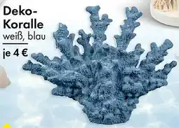 TEDi Deko-Koralle Angebot