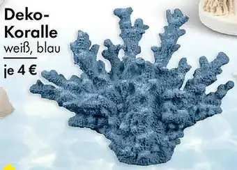 TEDi Deko-Koralle Angebot