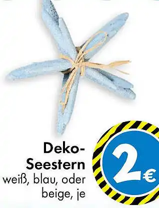TEDi Deko-Seestern Angebot