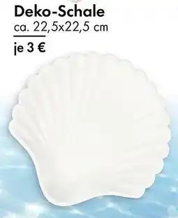 TEDi Deko-Schale Angebot