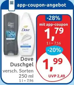 Budni Dove Duschgel Angebot